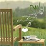 hamed 的头像
