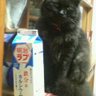 Profilbild von ばたかず