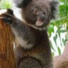 akatama profil fotoğrafı