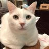 Oliver profil fotoğrafı