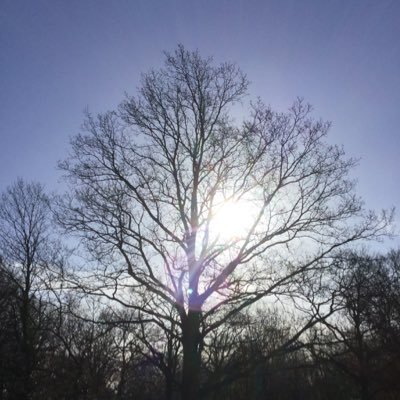 Alicia's profile picture