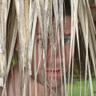 MichaelG's profile picture