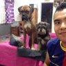 diego morales profil fotoğrafı