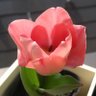 t.namiki's profile picture