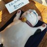 ææå profil fotoÄrafı