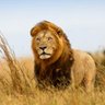 KM profil fotoğrafı