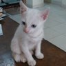 Nia S profil fotoğrafı