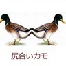 sadabeee 的头像