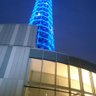 青いカモノハシ 的头像