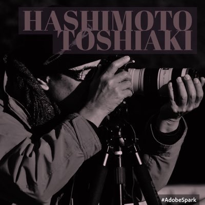 minamigaoka1107's profile picture