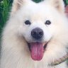 Profilbild von EDWARD
