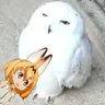 ふくほー 的头像