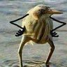 Gavelinho 的头像