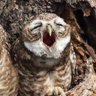 Profilbild von Lars