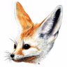 Nicolas's profile picture