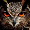 Oleksiy Nesterenko's profile picture
