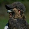 سواح profil fotoğrafı