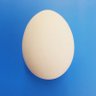 ナカガワ カズヒコ profil fotoğrafı