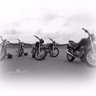 Volunteer Motorcycle Training Services's profile picture