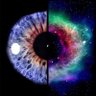 psychonaut 的头像