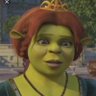 Фото профиля LittleShreks Mam