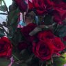 Фото профиля RedV