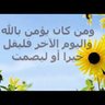 Amr Mohamed's profile picture
