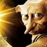 かめ profil fotoğrafı