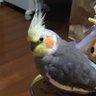 Фото профиля じゅん