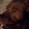 christi b athans ☮️🇺🇦's profile picture