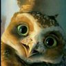 Profilbild von Hipatia