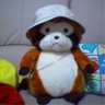 Profilbild von たぬぽん