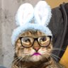雪水two's profile picture