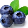 blueberry's profile picture