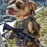 Randall's profile picture