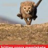 Profilbild von murat acar