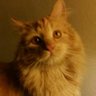 Alvé Le Chat profil fotoğrafı