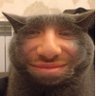 Profilbild von ану погавкай