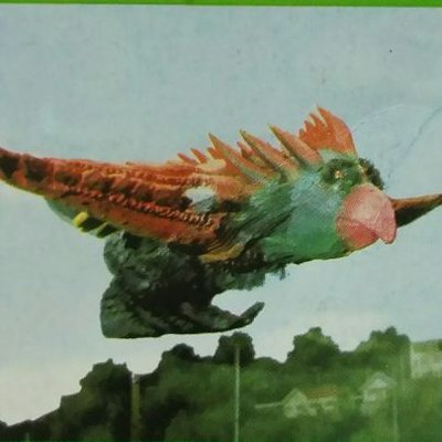 特撮の棚(海老の人🦐)'s profile picture