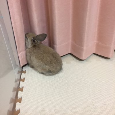 kinakina0124's profile picture