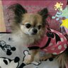 レオまま's profile picture