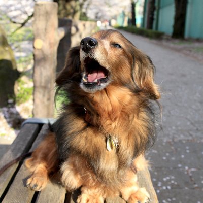 nobizo54's profile picture