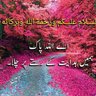 Ammena Noor Marwat.'s profile picture