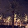 kholoud profil fotoğrafı