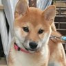 ãã profil fotoÄrafı