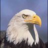 BHOTR profil fotoğrafı