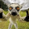 🇮🇱eli profil fotoğrafı