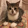 handan telci profil fotoğrafı