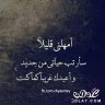 Mohannad's profile picture
