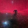 barnard33 的头像